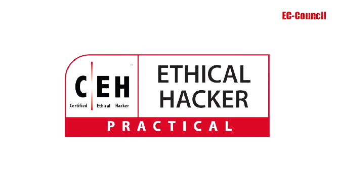 Prodi Teknologi Rekayasa Internet